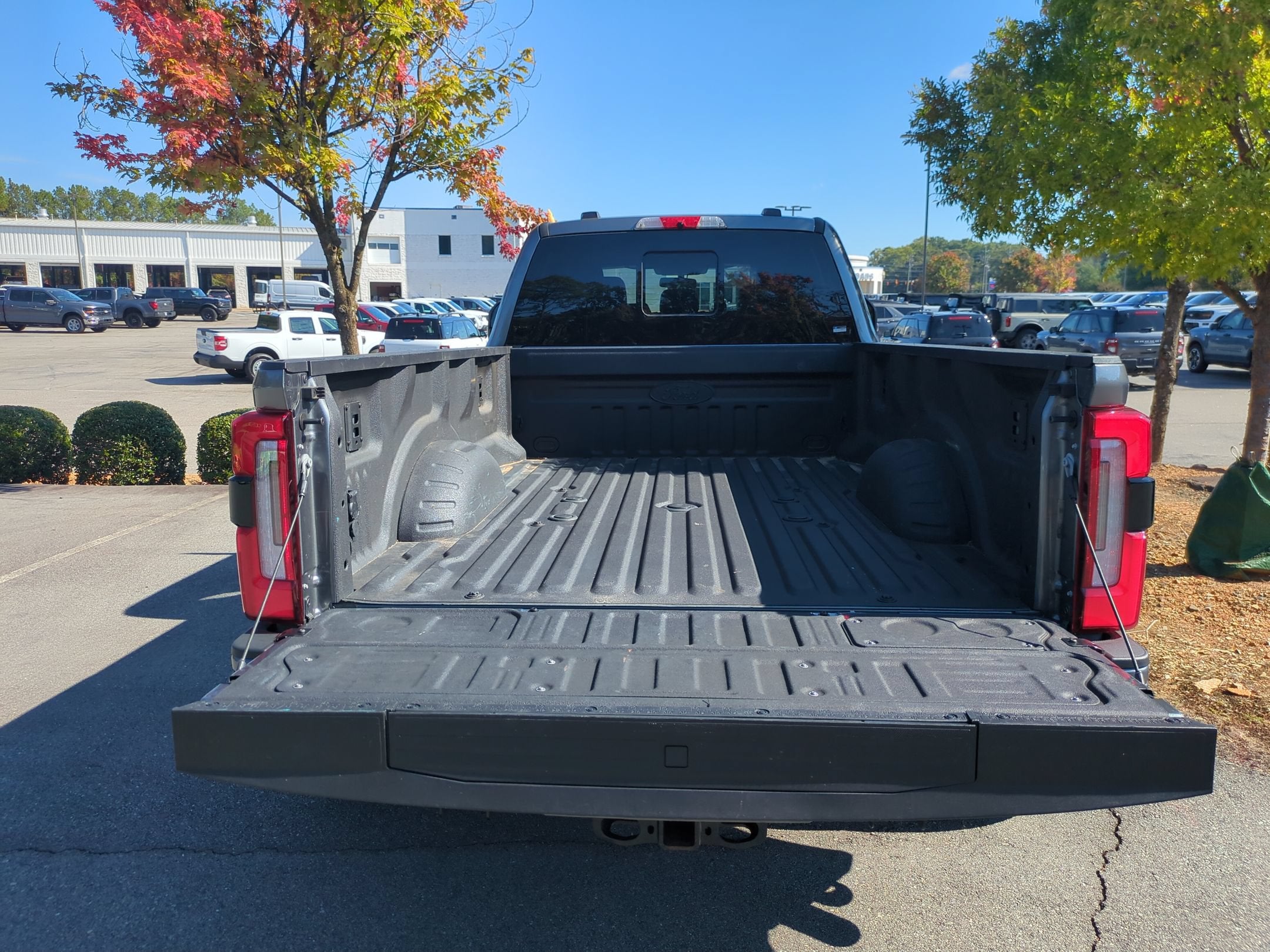 2025 Ford Super Duty F-350 DRW Platinum