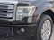 2014 Ford F-150 Platinum