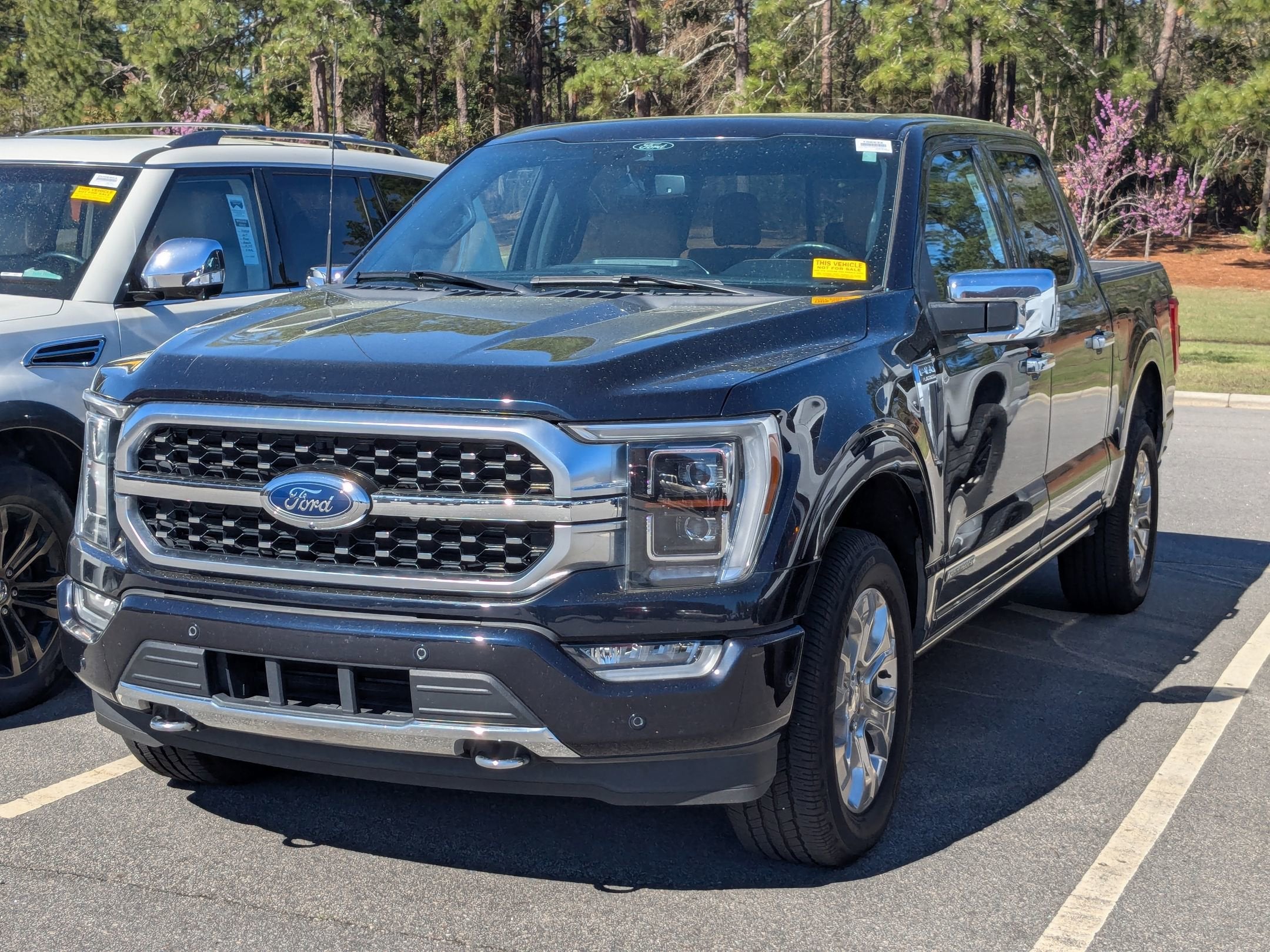 2022 Ford F-150 Platinum