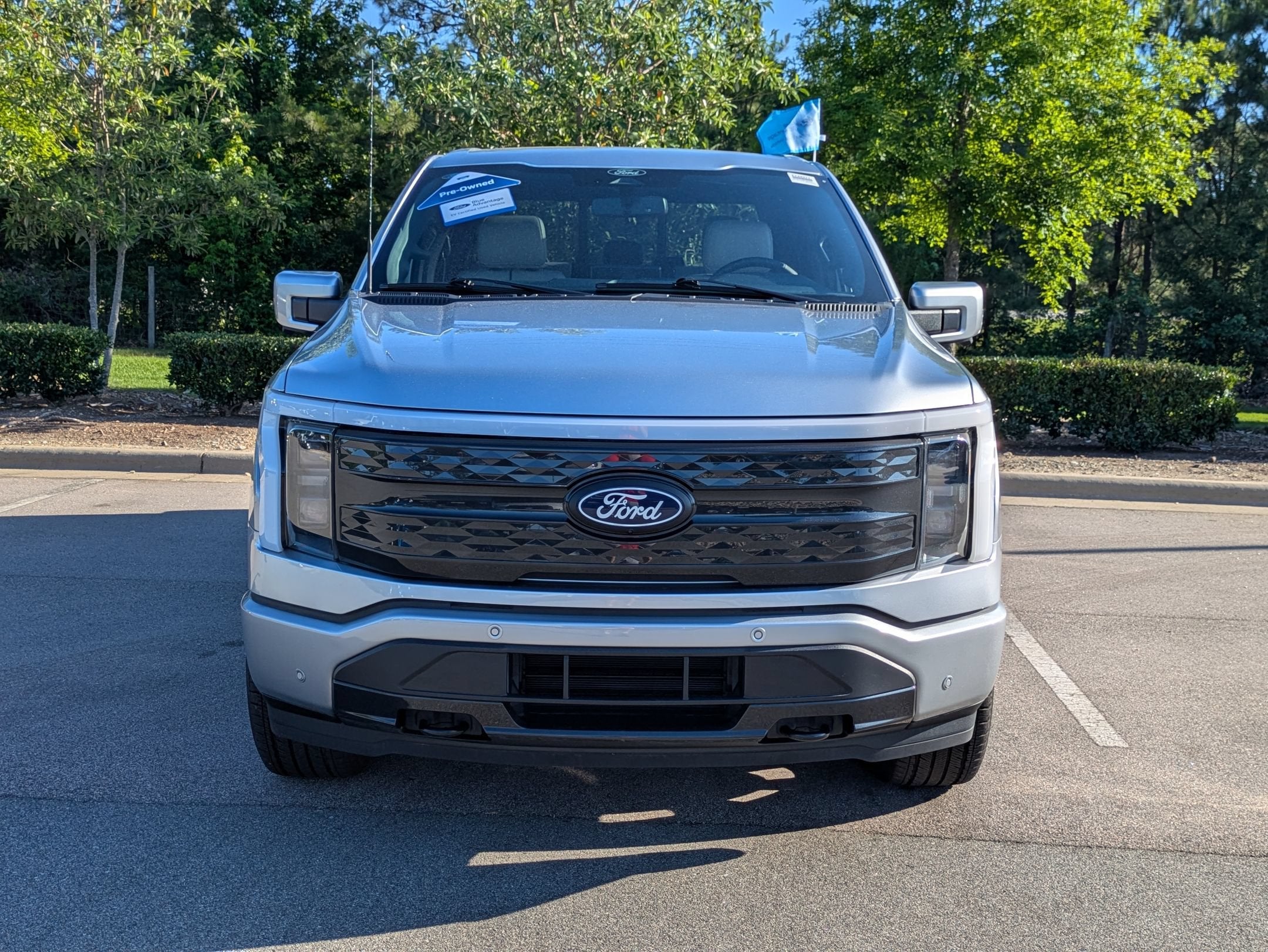 2025 Ford F-150 Lightning Platinum