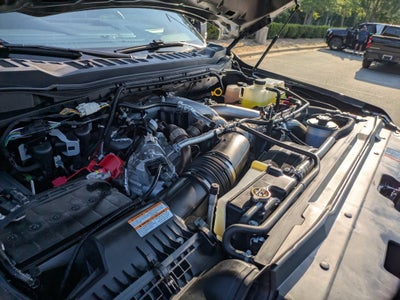 2025 Ford Super Duty F-250 SRW Black Widow Edition