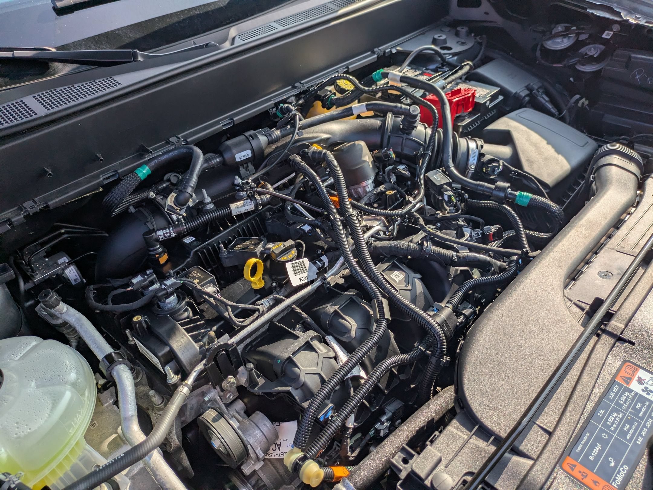 2024 Ford Maverick XLT