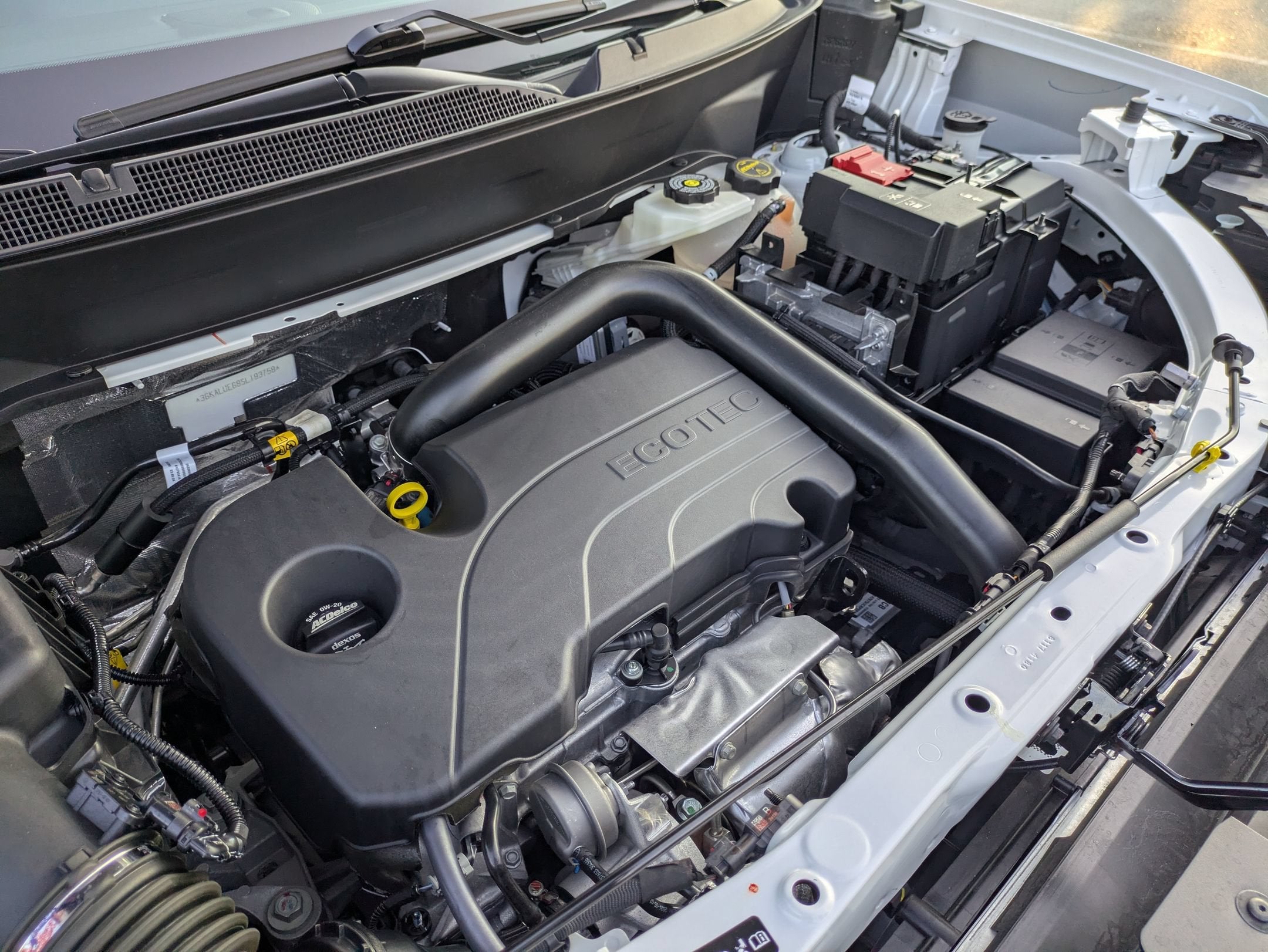 2025 GMC Terrain AWD Elevation