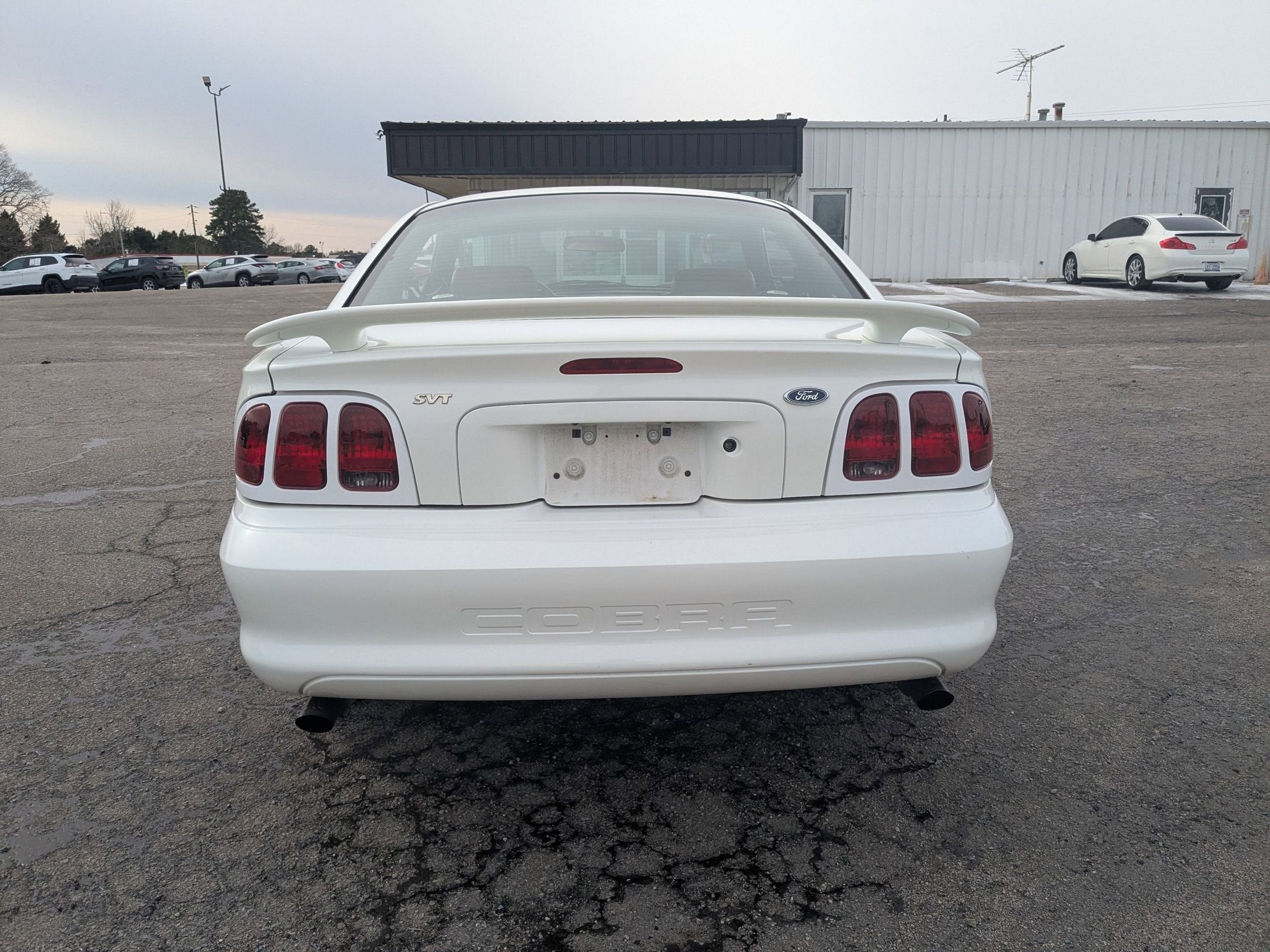 1998 Ford Mustang SVT Cobra