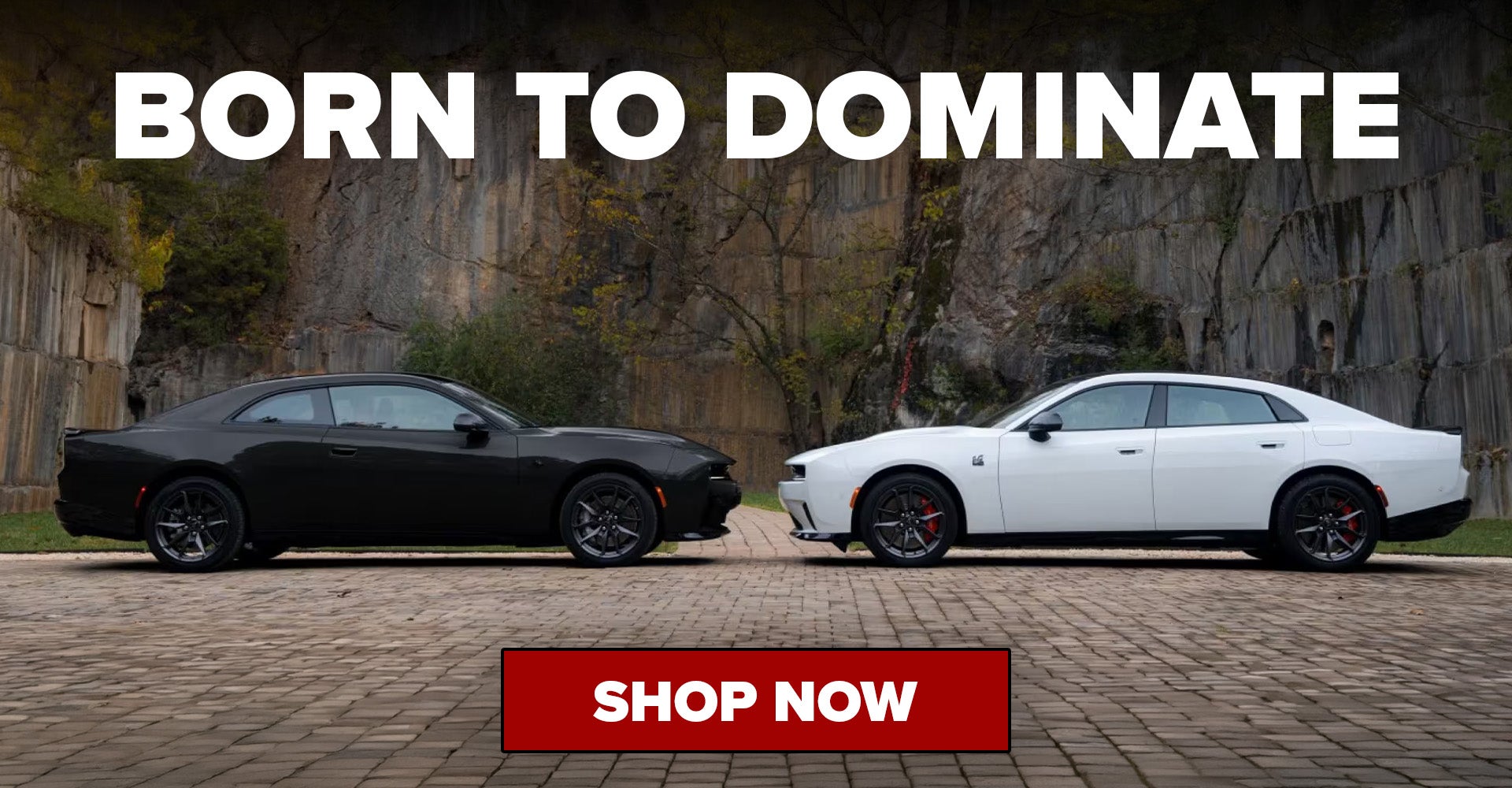 2027 Dodge Charger Henderson NC